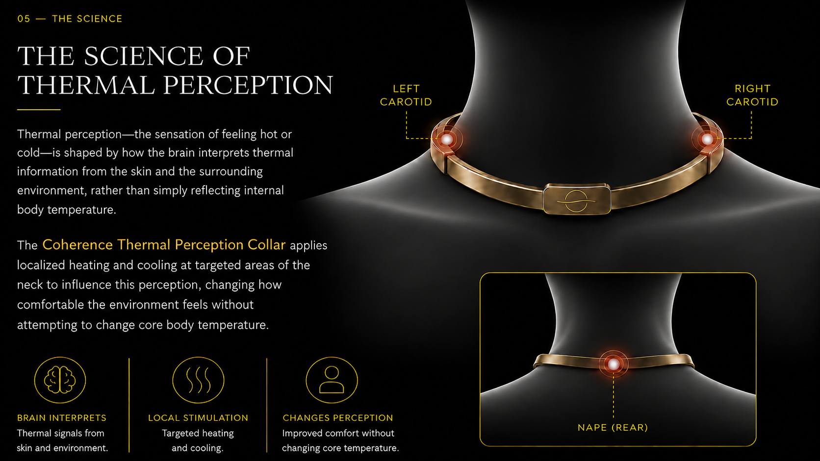 Section 5 — the science of thermal perception